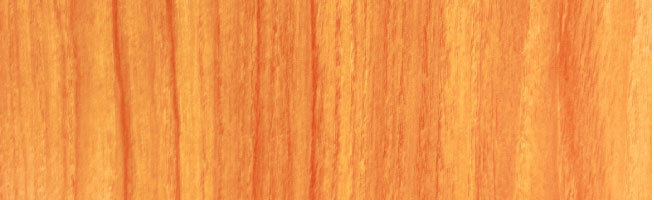 外壁デザイン：木目柄ライトブラウン